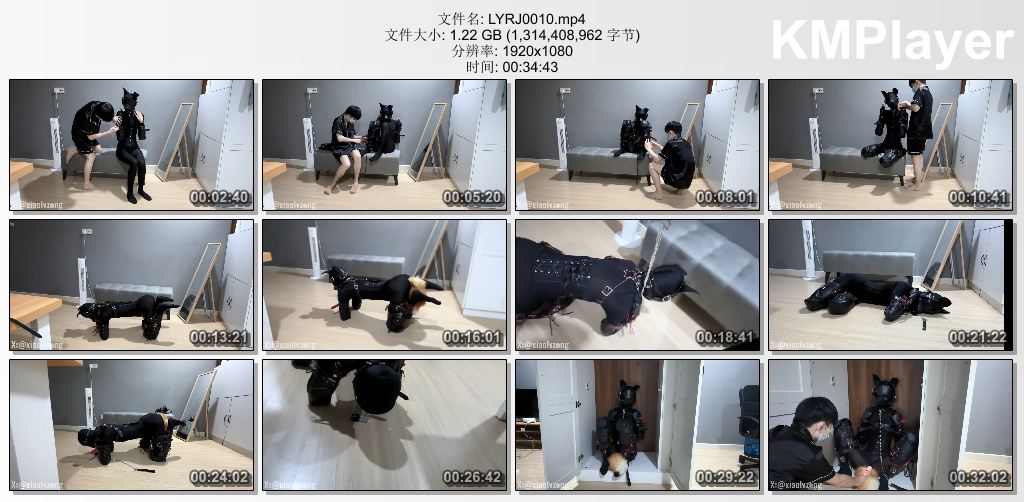 恋鱼日记0010_乖母狗小鱼的K9多项训练 第三部 遛狗爬行 开口器口J训练 最后被放在衣柜.jpg