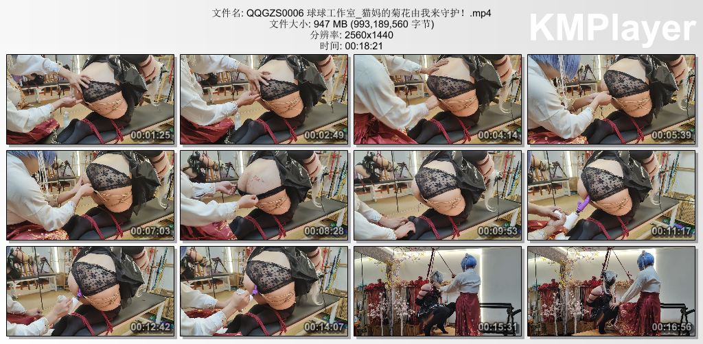球球工作室0006_我来守护猫妈的菊花.jpg