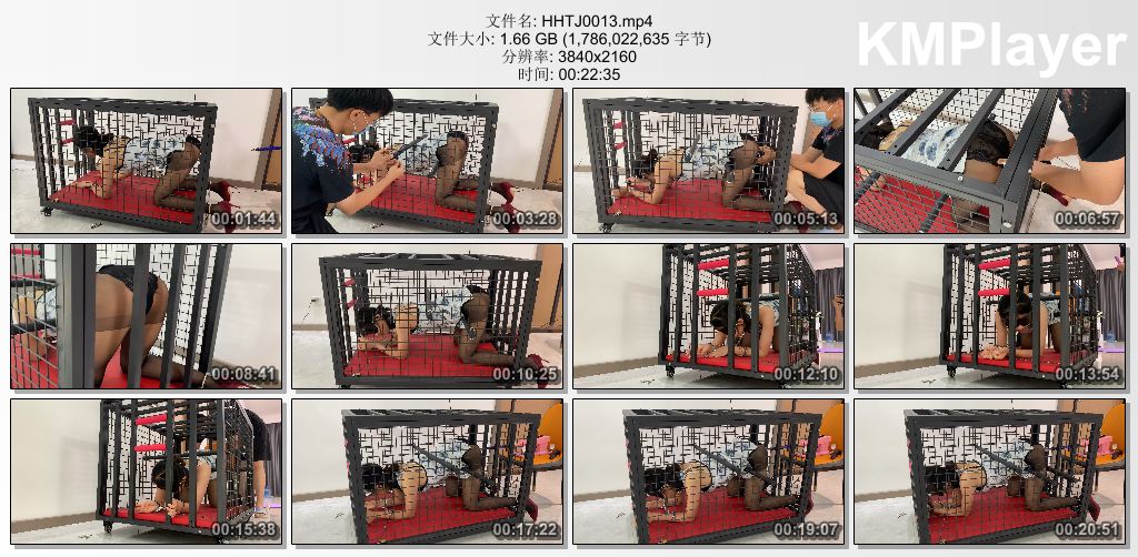 涵涵特辑0013_涵涵旗袍黑丝K9狗笼固定Pao机强G.jpg