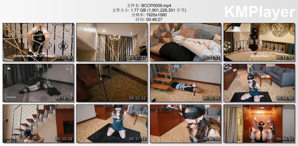 白城出品0009_第五部 娃娃01 上集.jpg