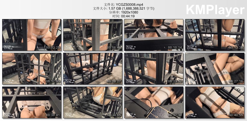 雨辰工作室0008_小雨露狗笼囚禁电击调教.jpg