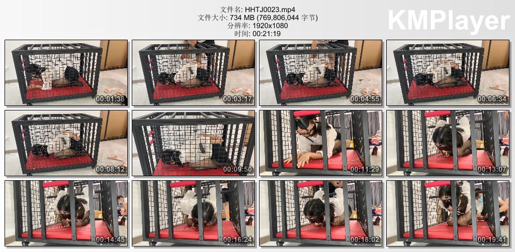 涵涵特辑0023_小M涵涵的K9狗笼调教 开口器口水直流 手铐脚镣铁链固定 丁字裤SP惩罚.jpg