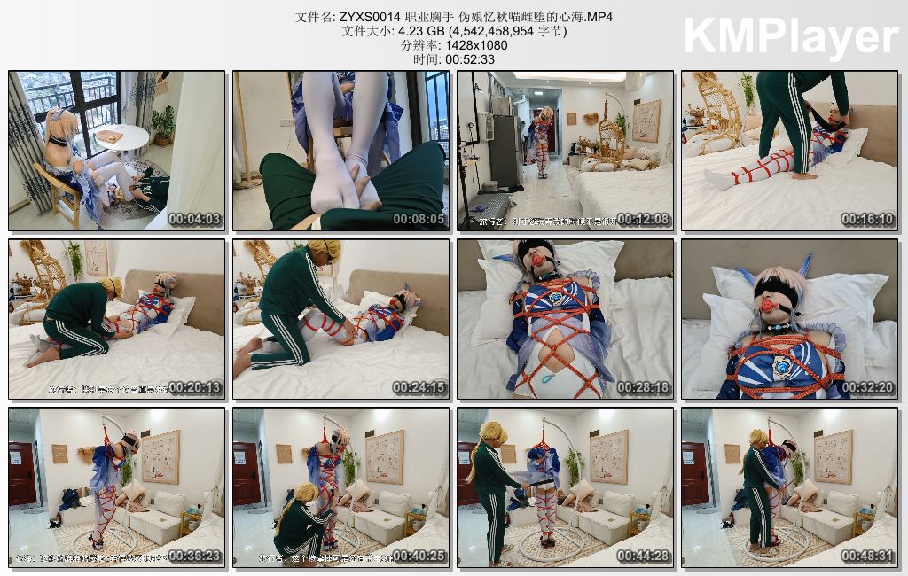 职业胸手0014_伪娘忆秋喵雌堕的心海.jpg