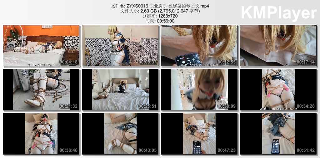 职业胸手0016_琴团长被绑架调教.jpg